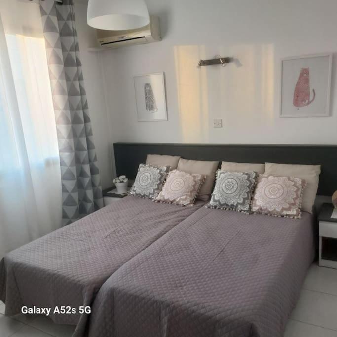 Apartment Irenes Larnaca